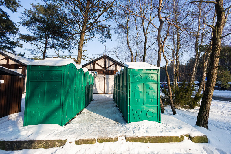 Коса без Калины: как живёт нацпарк, директора которого обвиняют в незаконной вырубке (фото)   - Новости Калининграда | Фото: Александр Подгорчук / «Клопс»