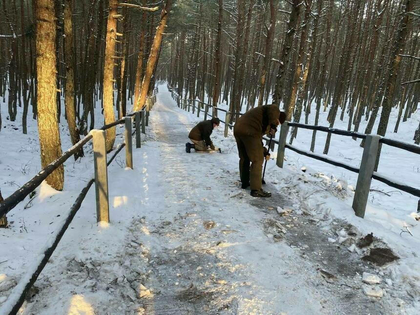 Сотрудники национального парка сейчас чистят тропы от льда | Фото: нацпарк "Куршская коса"
