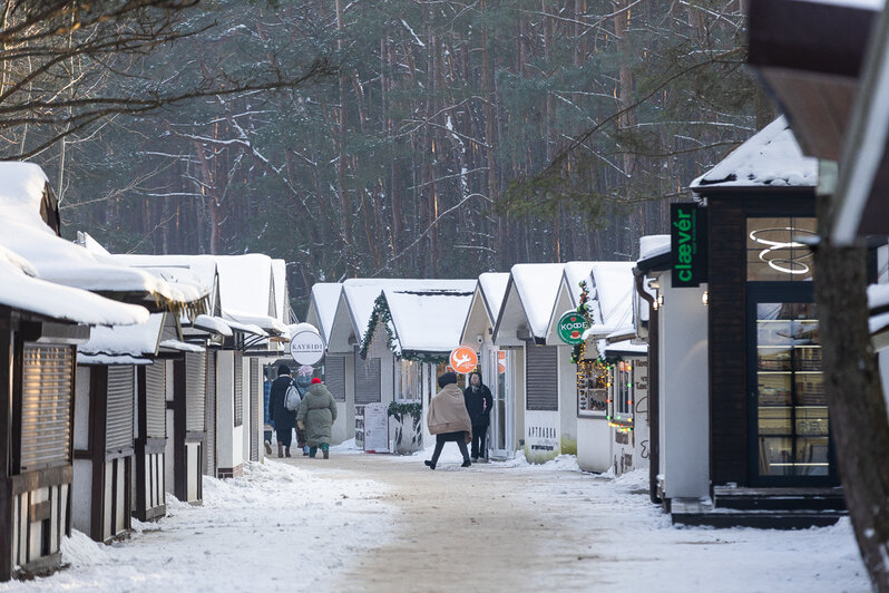 Новогодние каникулы сделали кассу калининградским музеям, но оставили без выручки хозяев апартаментов   - Новости Калининграда | Фото: Александр Подгорчук 