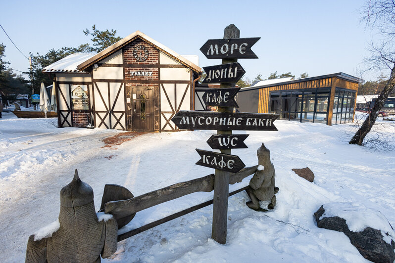 Коса без Калины: как живёт нацпарк, директора которого обвиняют в незаконной вырубке (фото)   - Новости Калининграда | Фото: Александр Подгорчук / «Клопс»