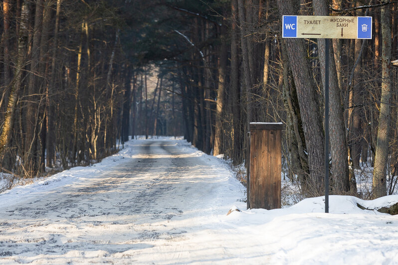 Коса без Калины: как живёт нацпарк, директора которого обвиняют в незаконной вырубке (фото)   - Новости Калининграда | Фото: Александр Подгорчук / «Клопс»