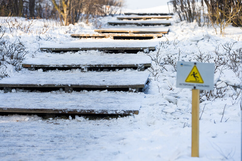 Коса без Калины: как живёт нацпарк, директора которого обвиняют в незаконной вырубке (фото)   - Новости Калининграда | Фото: Александр Подгорчук / «Клопс»