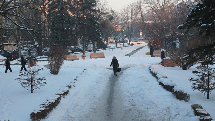 Сквер на Житомирской | Фото: Алёна Михайлова