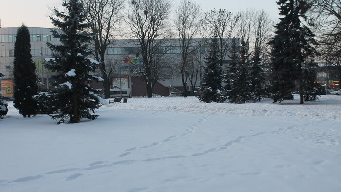 Сквер за Домом искусств | Фото: Алёна Михайлова