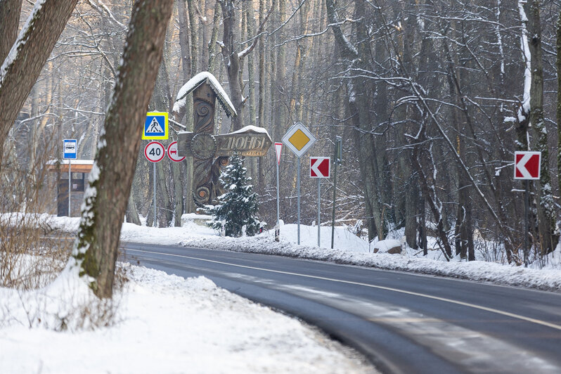 Коса без Калины: как живёт нацпарк, директора которого обвиняют в незаконной вырубке (фото)   - Новости Калининграда | Фото: Александр Подгорчук / «Клопс»