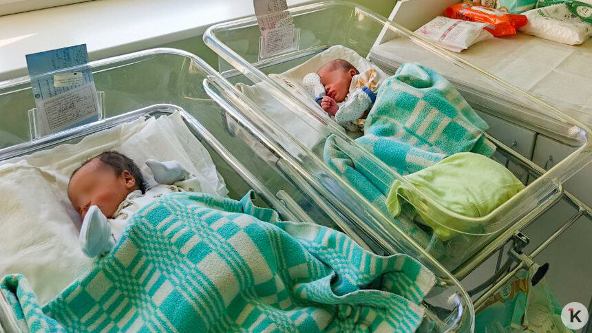 Калининградка родила «королевскую двойню» в 47 лет (фото)   - Новости Калининграда | Фото: Евгения