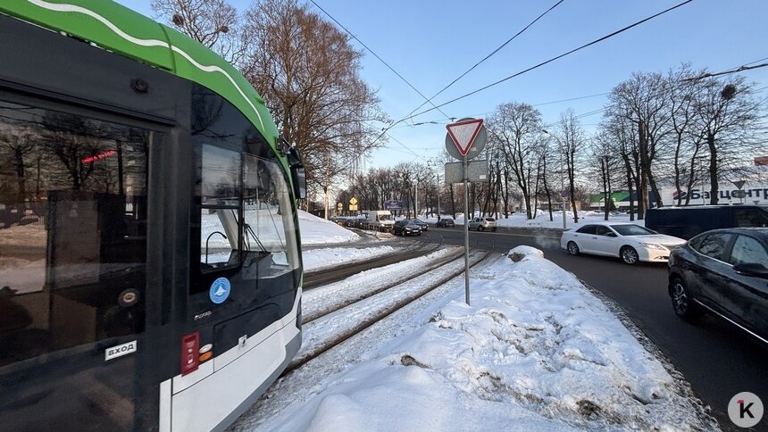 В Калининграде трамваям запретили «подрезать» авто на Аллее Смелых (фото) - Новости Калининграда | Фото: Александр Подгорчук / «Клопс»