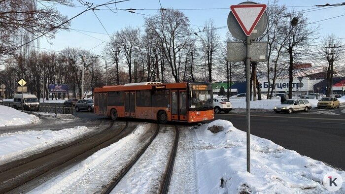 В Калининграде трамваям запретили «подрезать» авто на Аллее Смелых (фото) - Новости Калининграда | Фото: Александр Подгорчук / «Клопс»