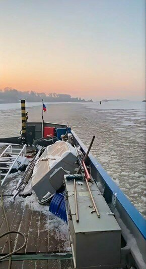 В Калининградском канале моряки вытащили собаку из ледяной ловушки - Новости Калининграда | Фото: пресс-служба «Росморпорта»