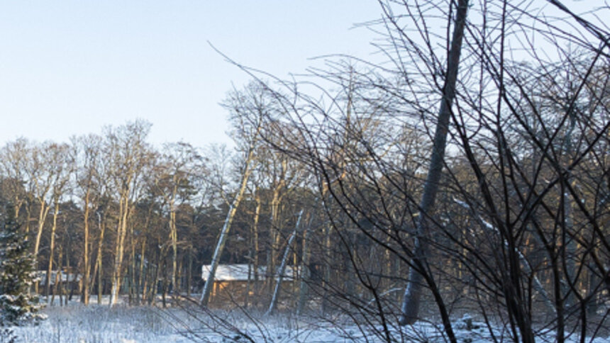 Коса без Калины: как живёт нацпарк, директора которого обвиняют в незаконной вырубке (фото)   - Новости Калининграда | Фото: Александр Подгорчук / «Клопс»