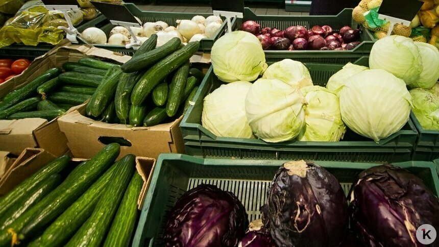 «Стон летит во все концы — дорожают огурцы!»: музыкальный дайджест калининградских новостей за неделю (видео)   - Новости Калининграда | Фото: архив «Клопс»