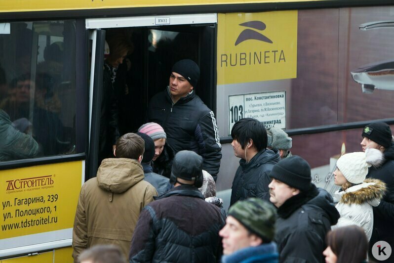 Охота на покемонов, голый перформанс и тюлень в Преголе: чем запомнился для калининградцев 2016 год (фото)  - Новости Калининграда | Фото: Александр Подгорчук / Архив «Клопс»