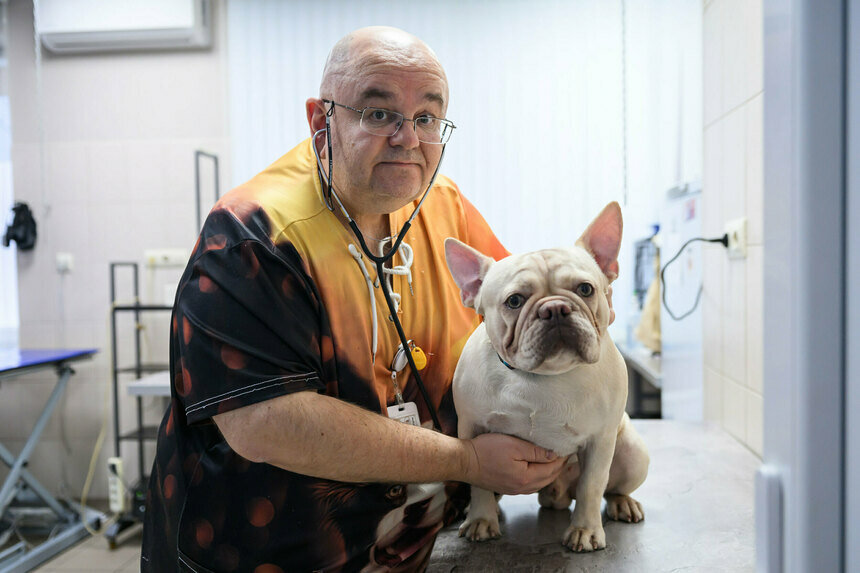 Ветеринарный врач Алексей Кулишов рекомендует посещать стоматолога с животным не реже двух раз в год. | Фото: Александр Мелехов