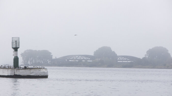 Краеведы со всей Калининградской области объединились, чтобы рассказать полную историю Балтийска и косы - Новости Калининграда | Фото: архив «Клопс»