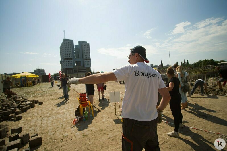 Охота на покемонов, голый перформанс и тюлень в Преголе: чем запомнился для калининградцев 2016 год (фото)  - Новости Калининграда | Фото: Александр Подгорчук / Архив «Клопс»