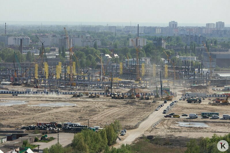 Охота на покемонов, голый перформанс и тюлень в Преголе: чем запомнился для калининградцев 2016 год (фото)  - Новости Калининграда | Фото: Александр Подгорчук / Архив «Клопс»