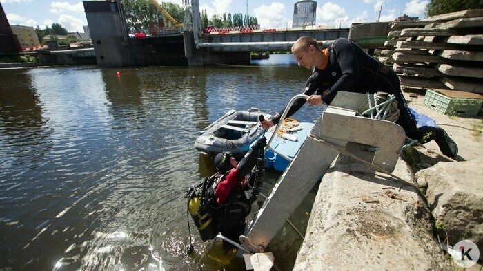 Охота на покемонов, голый перформанс и тюлень в Преголе: чем запомнился для калининградцев 2016 год (фото)  - Новости Калининграда | Фото: Александр Подгорчук / Архив «Клопс»