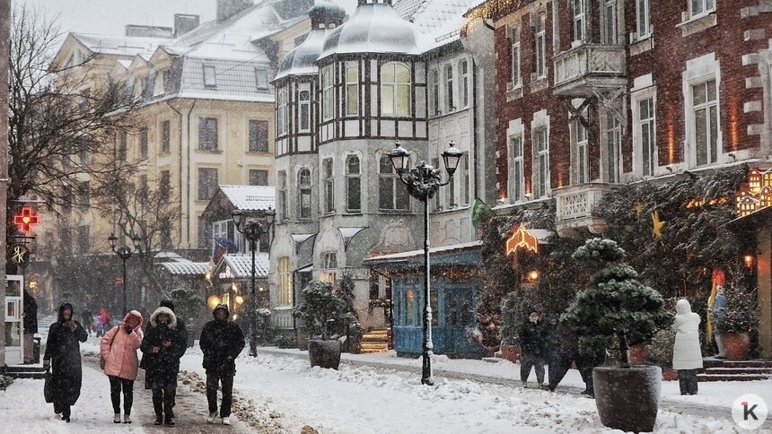 В Калининградстате назвали услуги, которые больше всего подорожали в декабре   - Новости Калининграда | Фото: Александр Подгорчук / Архив «Клопс»