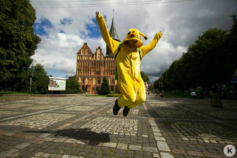 Охота на покемонов, голый перформанс и тюлень в Преголе: чем запомнился для калининградцев 2016 год (фото)  - Новости Калининграда | Фото: Александр Подгорчук / Архив «Клопс»