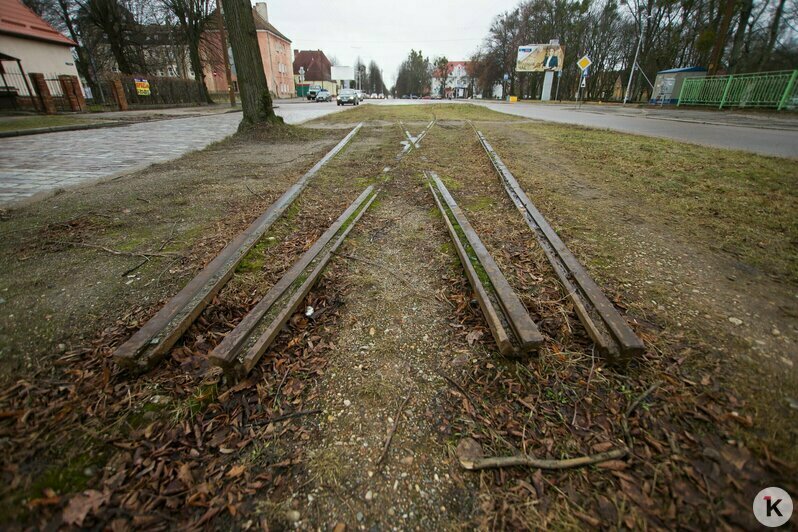 Охота на покемонов, голый перформанс и тюлень в Преголе: чем запомнился для калининградцев 2016 год (фото)  - Новости Калининграда | Фото: Александр Подгорчук / Архив «Клопс»