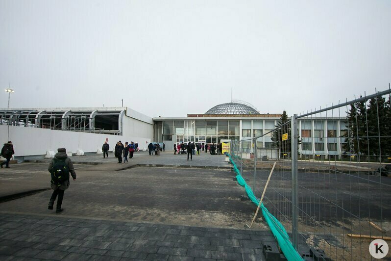 Охота на покемонов, голый перформанс и тюлень в Преголе: чем запомнился для калининградцев 2016 год (фото)  - Новости Калининграда | Фото: Александр Подгорчук / Архив «Клопс»