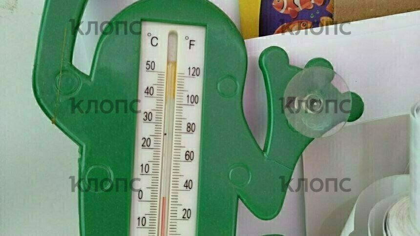 12 часов при +2: менеджеры калининградских пунктов Wildberries жалуются на ледяное равнодушие работодателей  - Новости Калининграда | Фото: очевидец