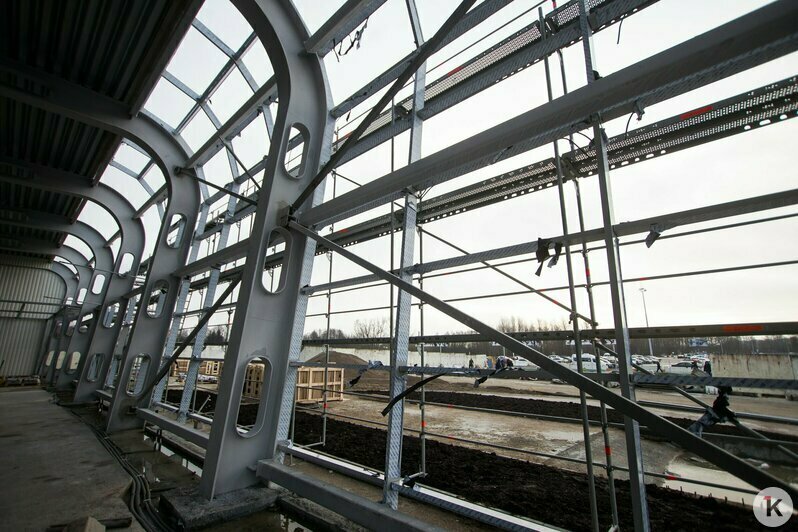 Охота на покемонов, голый перформанс и тюлень в Преголе: чем запомнился для калининградцев 2016 год (фото)  - Новости Калининграда | Фото: Александр Подгорчук / Архив «Клопс»