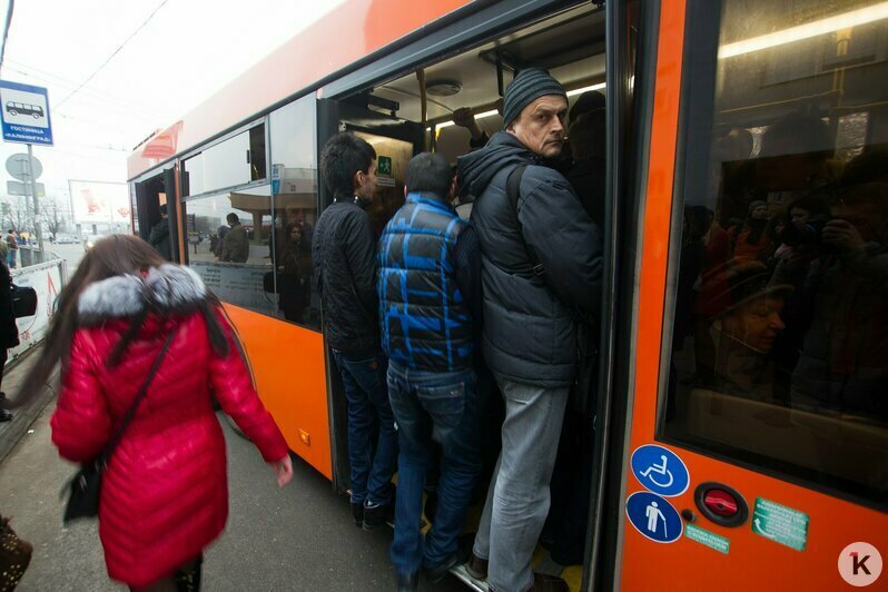 Охота на покемонов, голый перформанс и тюлень в Преголе: чем запомнился для калининградцев 2016 год (фото)  - Новости Калининграда | Фото: Александр Подгорчук / Архив «Клопс»