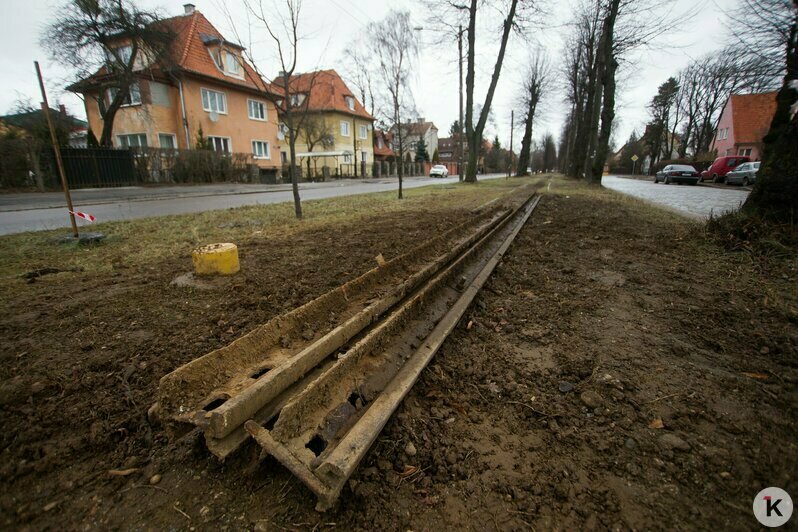 Охота на покемонов, голый перформанс и тюлень в Преголе: чем запомнился для калининградцев 2016 год (фото)  - Новости Калининграда | Фото: Александр Подгорчук / Архив «Клопс»