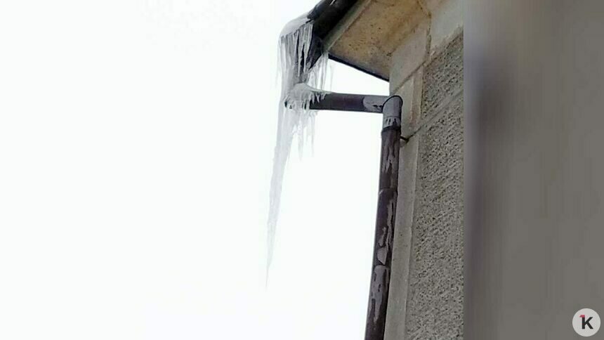 Калининградские сосульки из дайджеста «Клопс» проверяет прокуратура    - Новости Калининграда | Фото: Татьяна