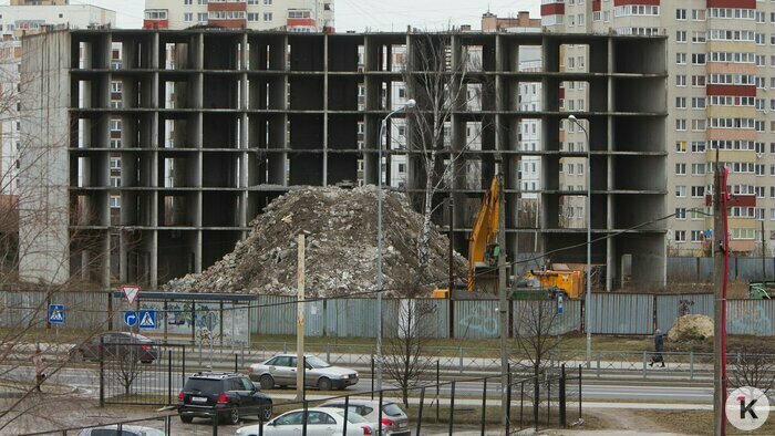 Охота на покемонов, голый перформанс и тюлень в Преголе: чем запомнился для калининградцев 2016 год (фото)  - Новости Калининграда | Фото: Александр Подгорчук / Архив «Клопс»