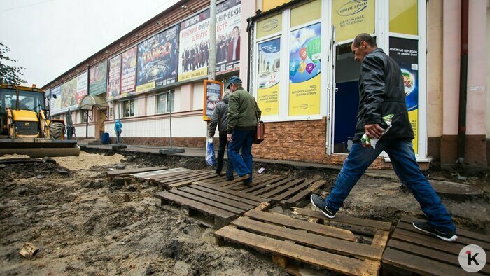 Охота на покемонов, голый перформанс и тюлень в Преголе: чем запомнился для калининградцев 2016 год (фото)  - Новости Калининграда | Фото: Александр Подгорчук / Архив «Клопс»
