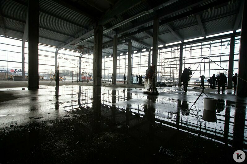 Охота на покемонов, голый перформанс и тюлень в Преголе: чем запомнился для калининградцев 2016 год (фото)  - Новости Калининграда | Фото: Александр Подгорчук / Архив «Клопс»