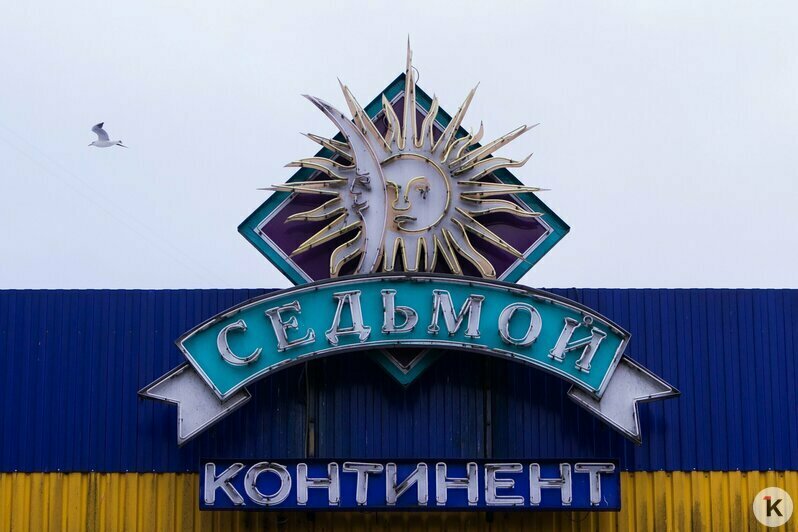 Охота на покемонов, голый перформанс и тюлень в Преголе: чем запомнился для калининградцев 2016 год (фото)  - Новости Калининграда | Фото: Александр Подгорчук / Архив «Клопс»