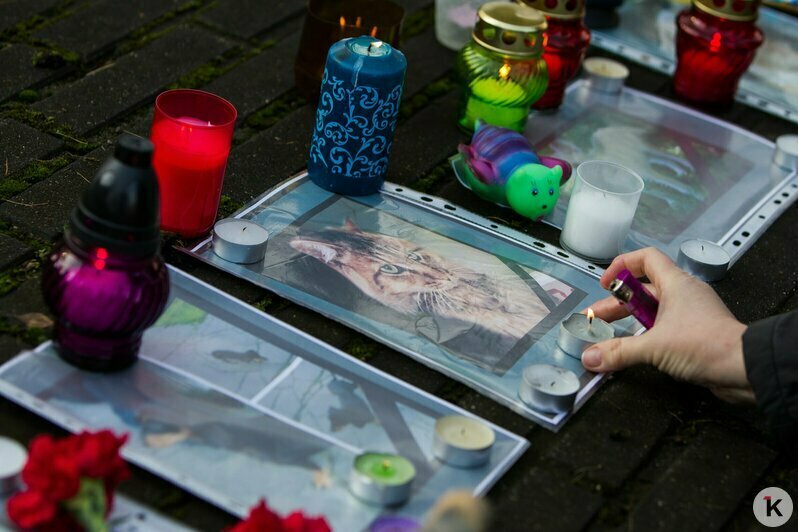 Охота на покемонов, голый перформанс и тюлень в Преголе: чем запомнился для калининградцев 2016 год (фото)  - Новости Калининграда | Фото: Александр Подгорчук / Архив «Клопс»