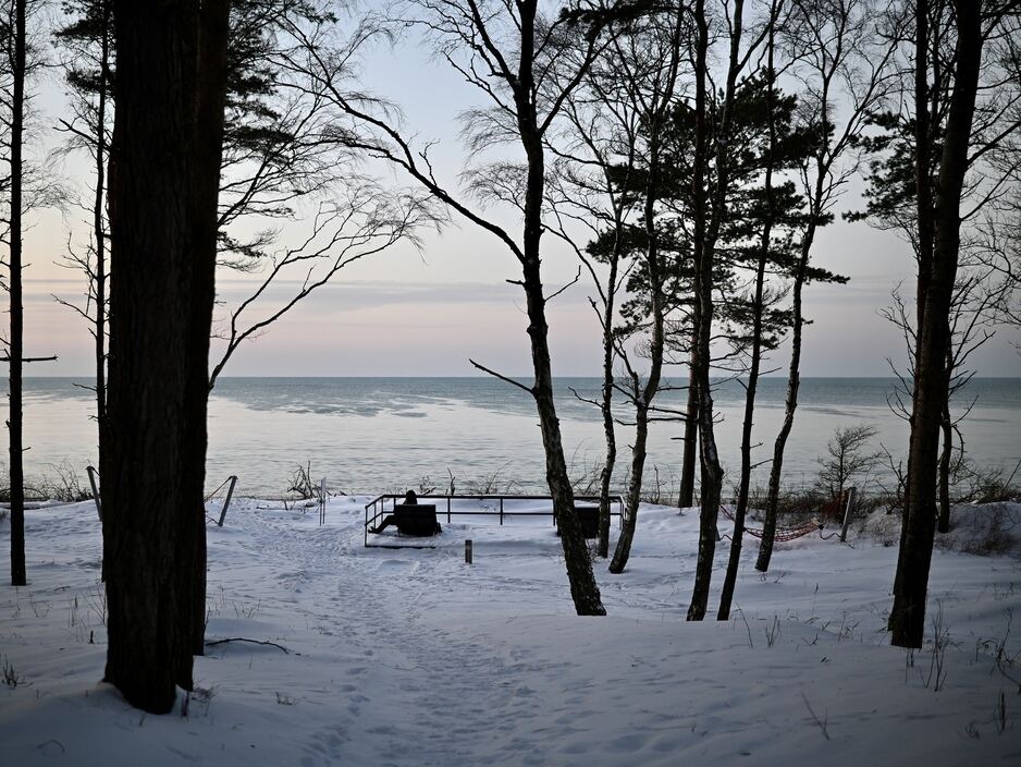 Графика Куршской косы