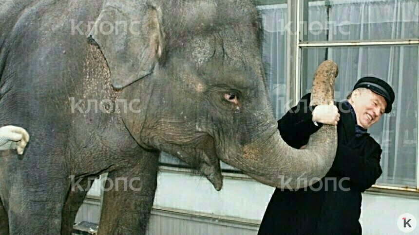 На фото: Марта с Владимиром Жириновским | Архивные фото предоставил театр «Уголок дедушки Дурова»