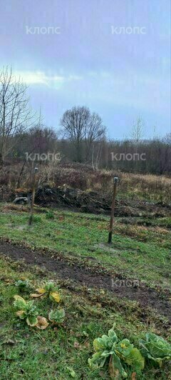 «Наши дома утонут в стоках»: в Калининграде под застройку урезали участки, которые люди обихаживали с послевоенных лет  - Новости Калининграда | Фото: очевидцы