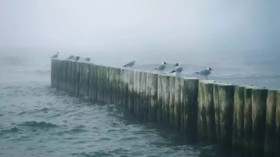 Два собора и лестница в Третьяковке: восемь из ста лучших фотографий 2025 сделаны в Калининградской области — 2ГИС   - Новости Калининграда | Фото: Lunar Penguin / 2ГИС