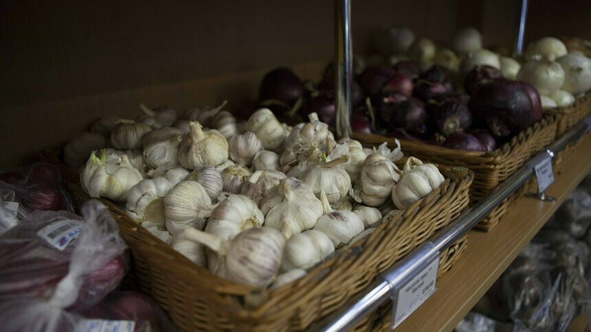 Врач назвал продукты, которые влияют на запах пота - Новости Калининграда | Фото: Александр Подгорчук / Архив «Клопс»