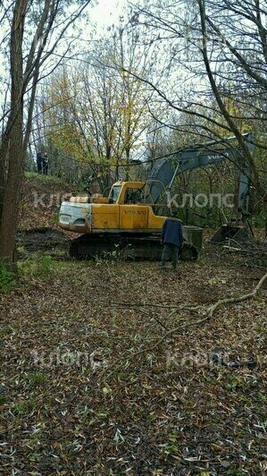 «Наши дома утонут в стоках»: в Калининграде под застройку урезали участки, которые люди обихаживали с послевоенных лет  - Новости Калининграда | Фото: очевидцы