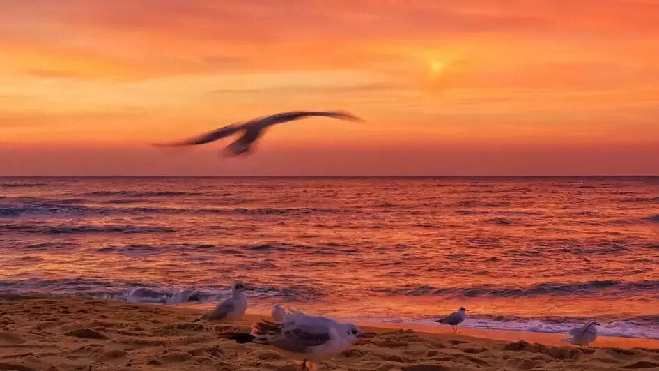 Два собора и лестница в Третьяковке: восемь из ста лучших фотографий 2025 сделаны в Калининградской области — 2ГИС   - Новости Калининграда | Фото: Lunar Penguin / 2ГИС