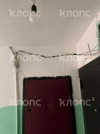 Подъезд жилого дома в центре Калининграда опутала жуткая паутина из опасно свисающих проводов (фото)  - Новости Калининграда | Фото: очевидцы