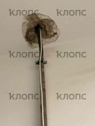 Подъезд жилого дома в центре Калининграда опутала жуткая паутина из опасно свисающих проводов (фото)  - Новости Калининграда | Фото: очевидцы