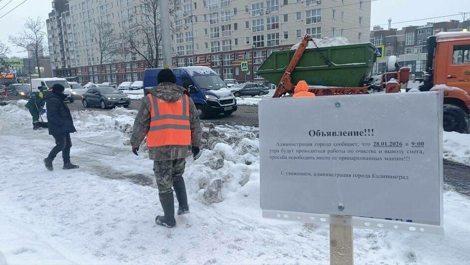 Дятлова осудила водителей, которые мешают убирать снег с городских парковок - Новости Калининграда | Фото: канал сити-менеджера Калининграда Елены Дятловой / Телеграм