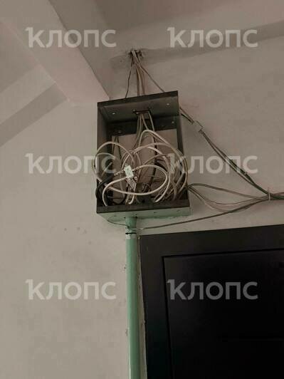 Подъезд жилого дома в центре Калининграда опутала жуткая паутина из опасно свисающих проводов (фото)  - Новости Калининграда | Фото: очевидцы