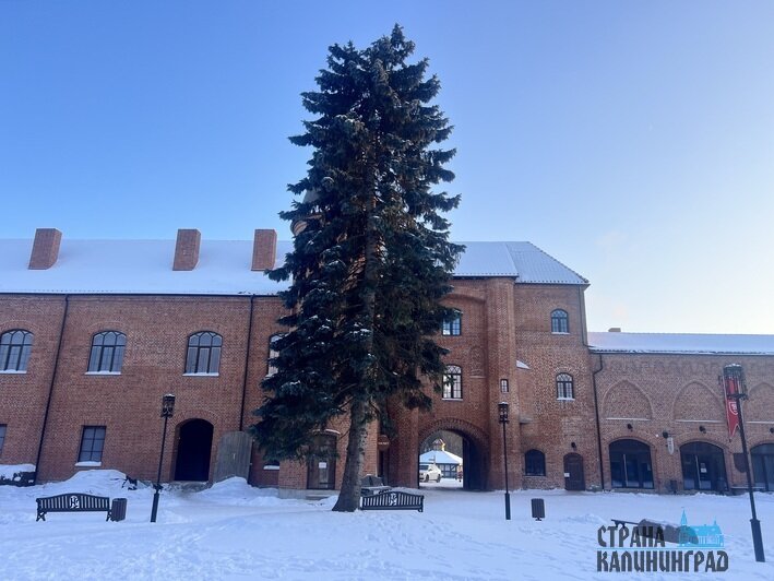 Об истории говорили в исторических стенах | Фото: Оксана Сазонова