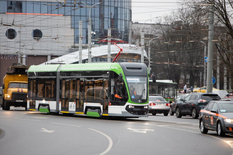 Так трамваи должны выглядеть | Фото: Александр Подгорчук / «Клопс»
