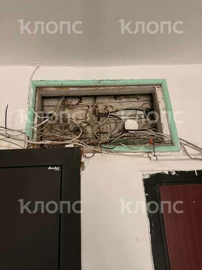 Подъезд жилого дома в центре Калининграда опутала жуткая паутина из опасно свисающих проводов (фото)  - Новости Калининграда | Фото: очевидцы