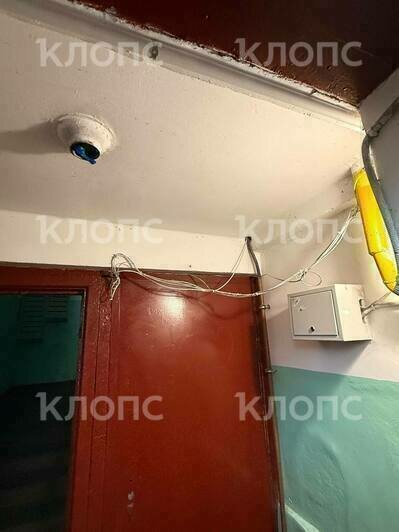 Подъезд жилого дома в центре Калининграда опутала жуткая паутина из опасно свисающих проводов (фото)  - Новости Калининграда | Фото: очевидцы